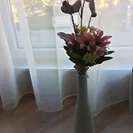 мони Lejlighed
