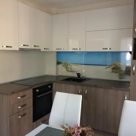 Apartment мони