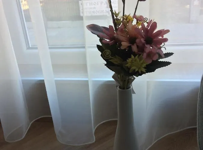 мони Appartamento