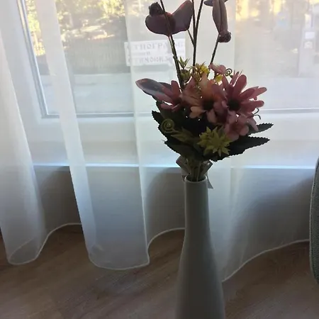 мони Apartament